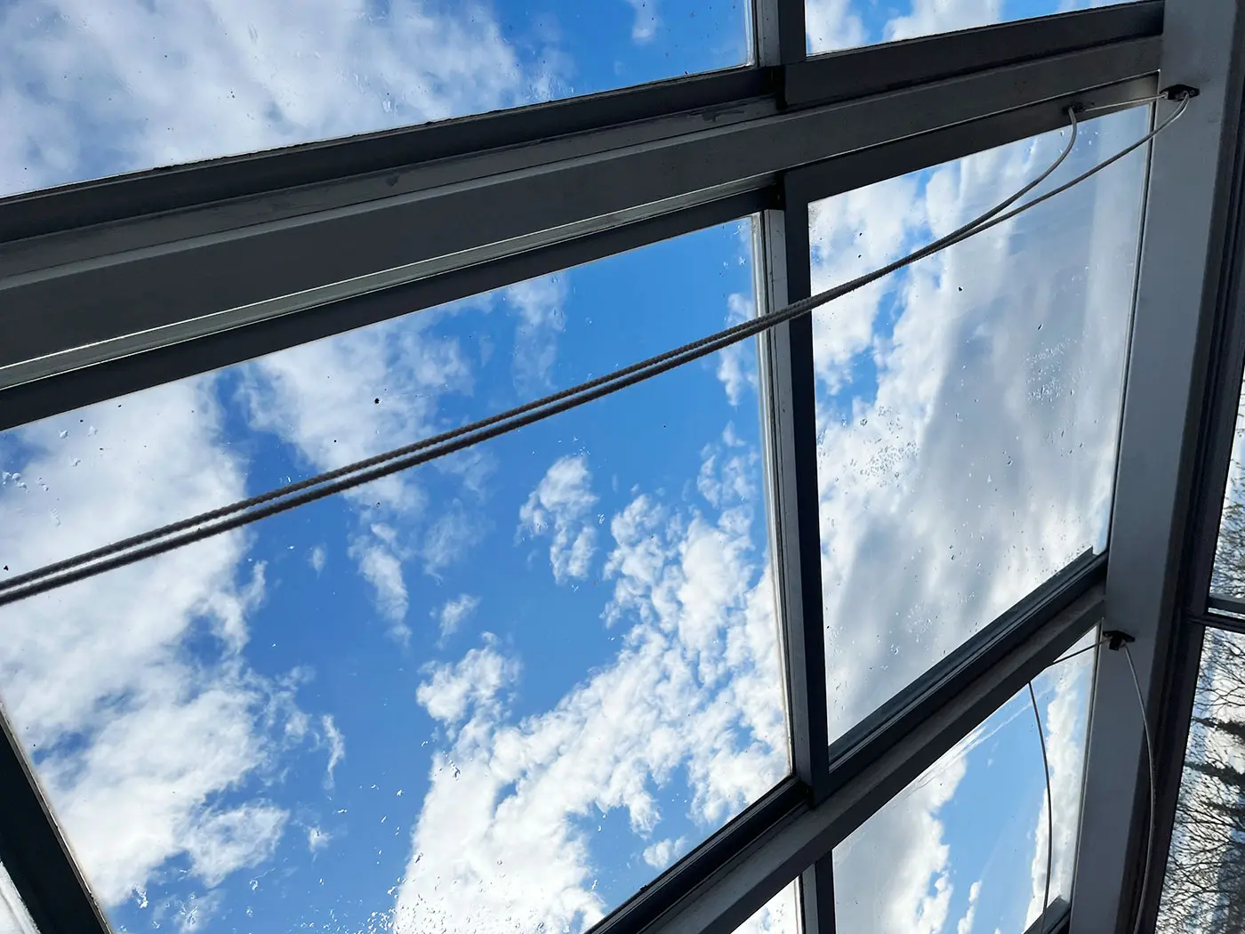 takvindu etterbilde takvindu etterbilde